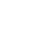 icons8-brake-discs-100